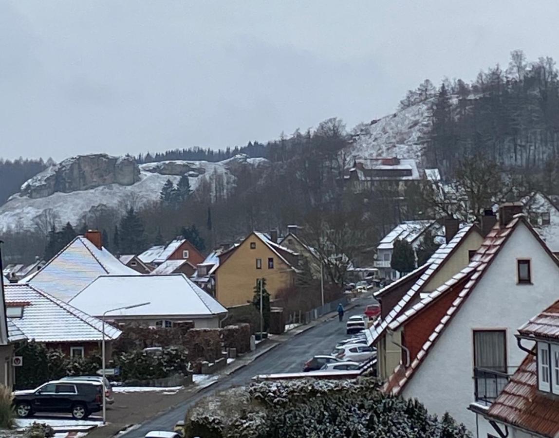 Apartament Steinberg-Blick Herzberg am Harz Zewnętrze zdjęcie